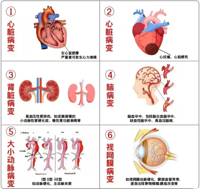 ȫ��(gu��)��Ѫ���� | Ѫ��Ҫ֪�ԣ�����Ҫ�_(d��)��(bi��o)